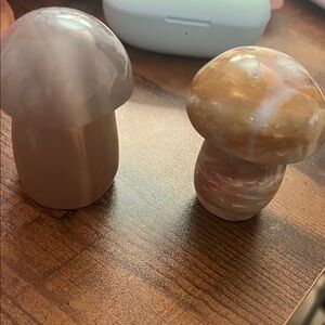 Set of Two Stone Mushroom Decor
